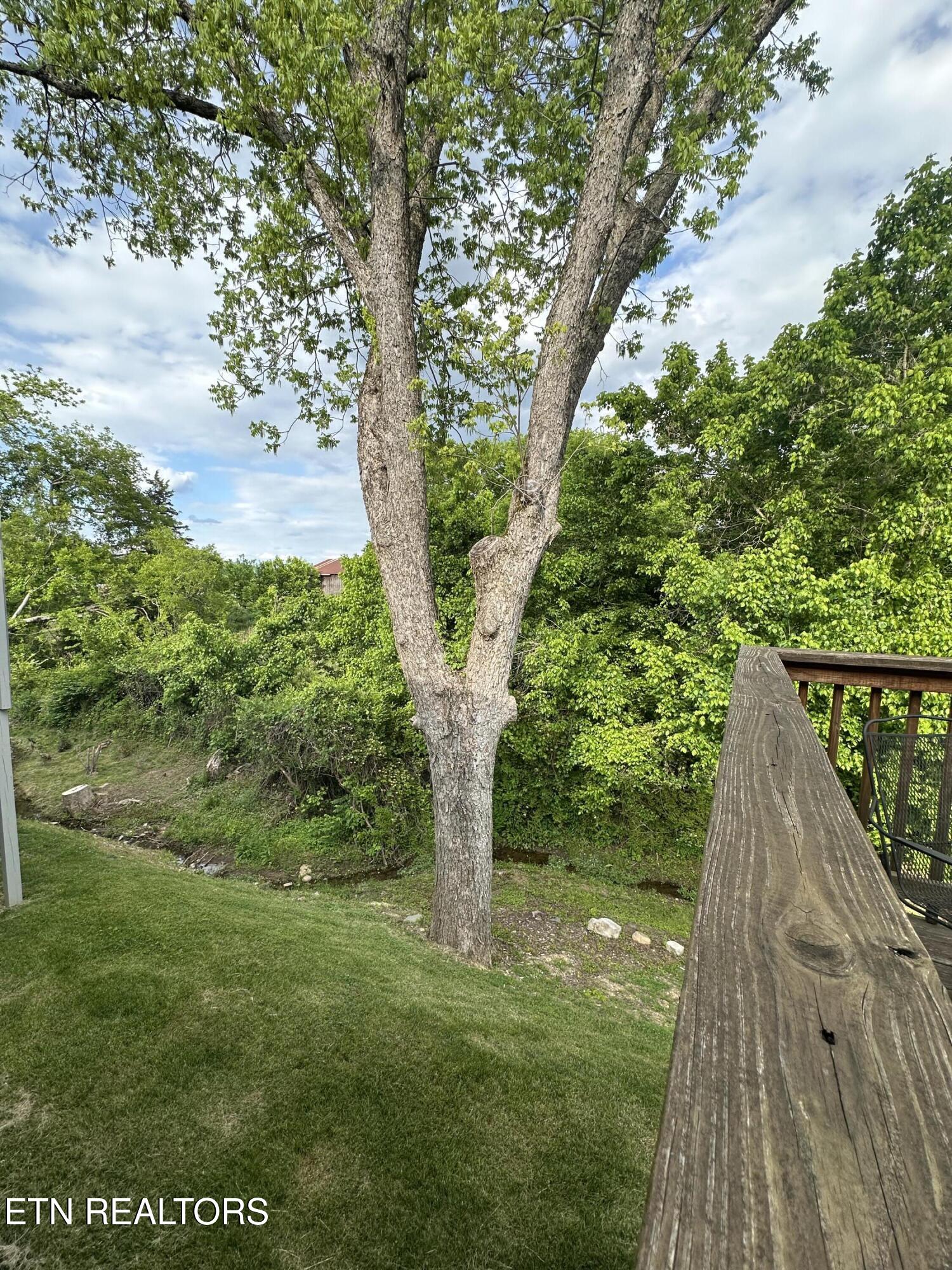 146 Mayapple Way