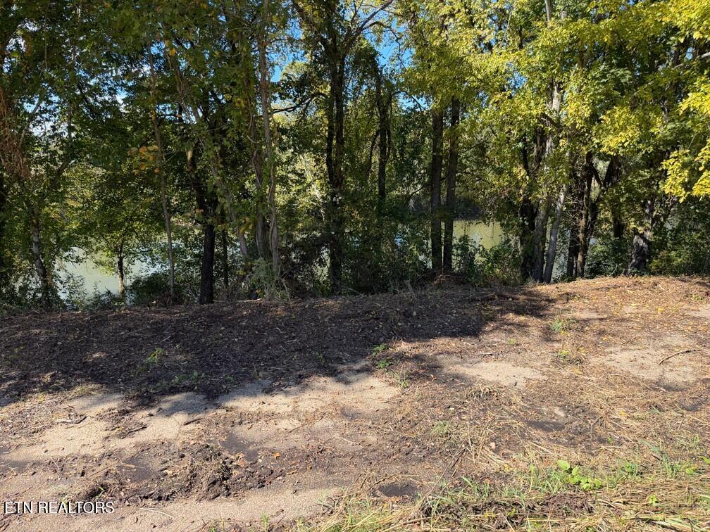 Winfield Dunn Pkwy