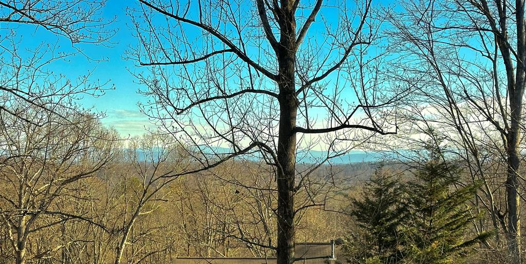 4814 Laurelwood Road Road