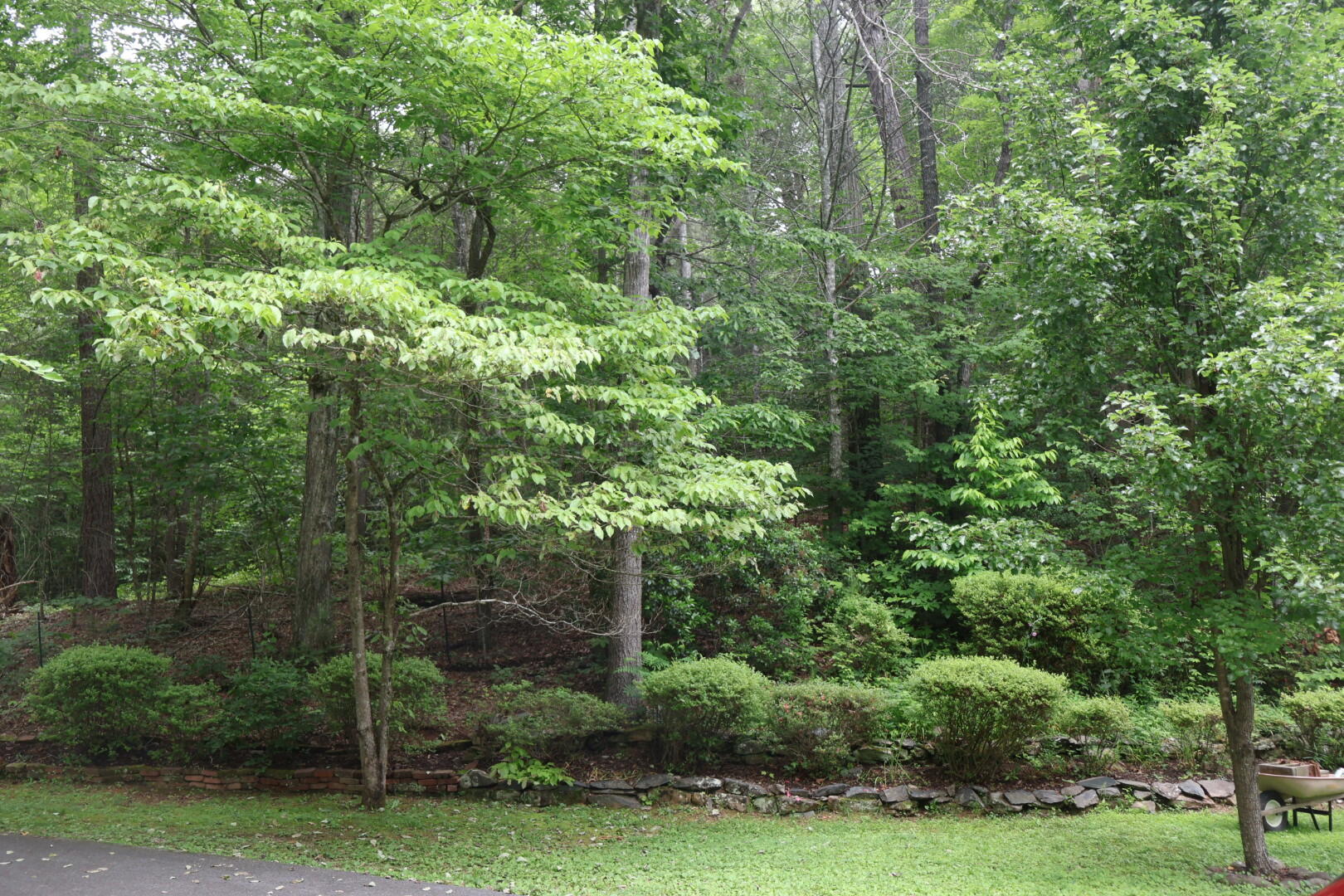 706 Skyline Drive Drive