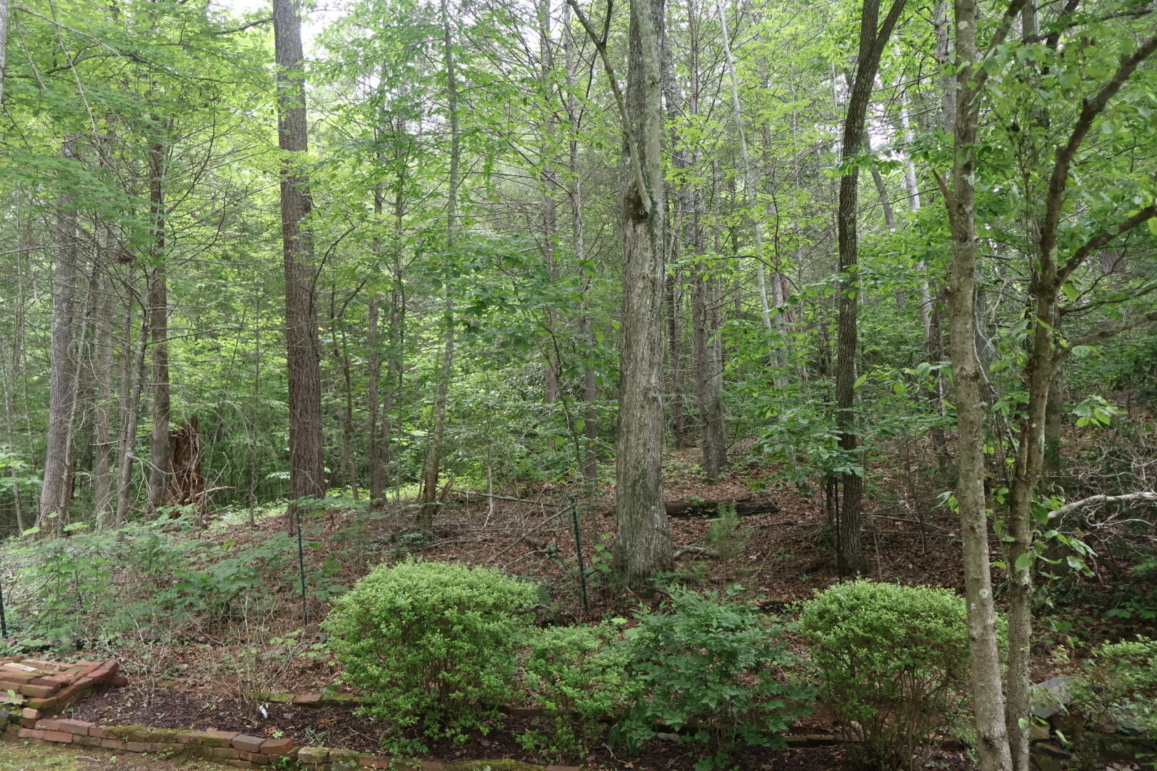 706 Skyline Drive Drive