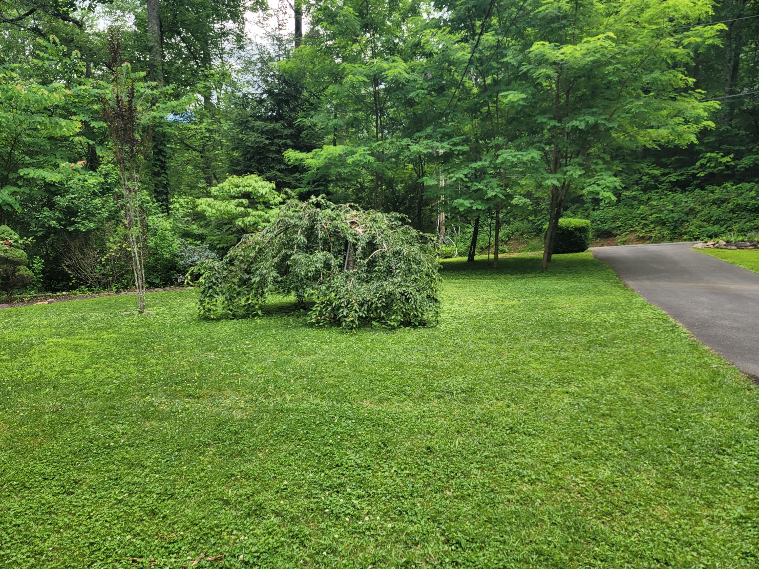 706 Skyline Drive Drive