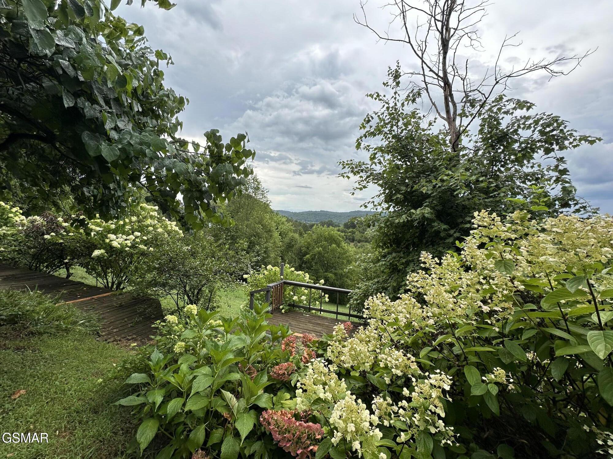 3855 Catewright Road Road