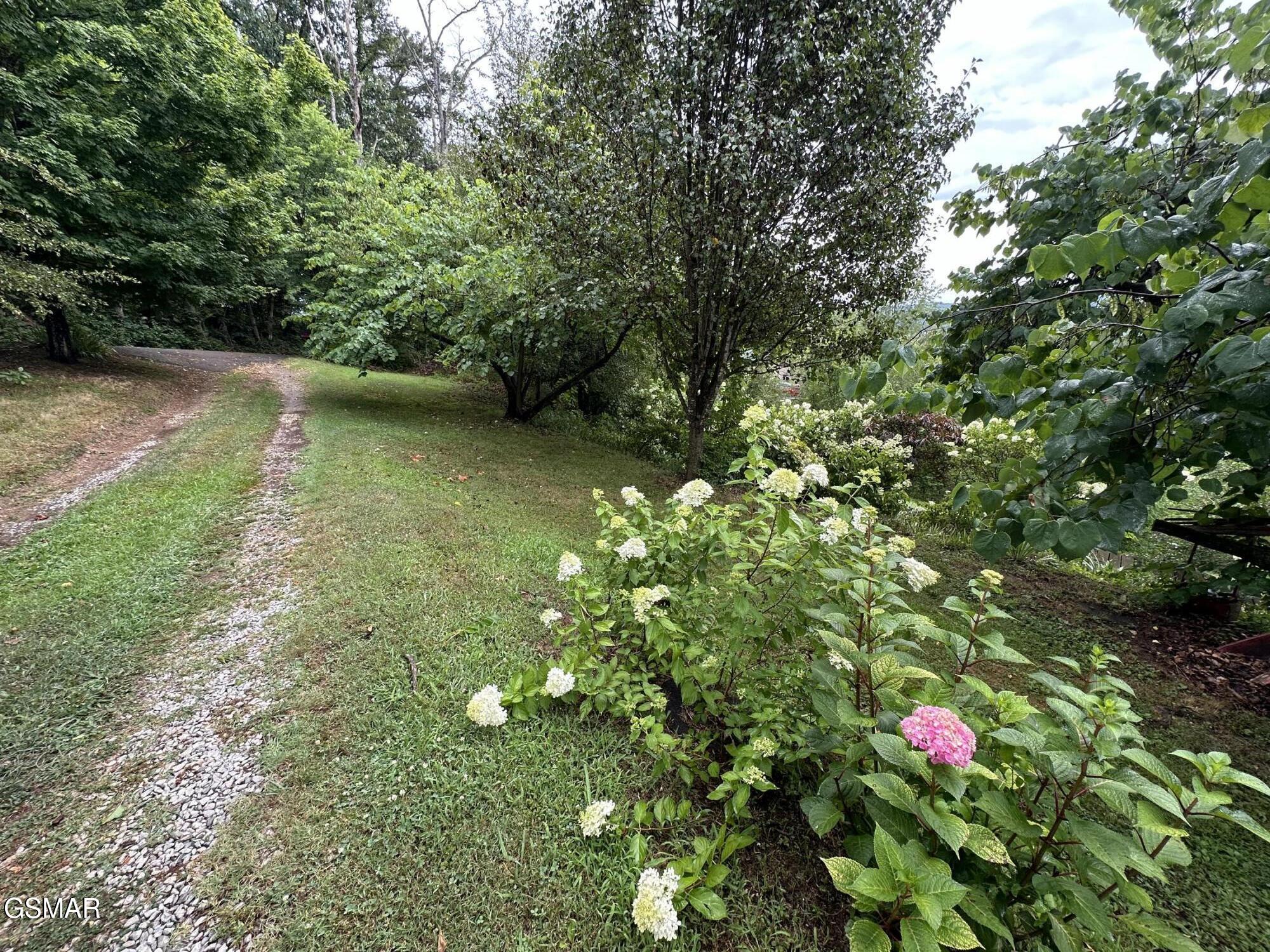 3855 Catewright Road Road