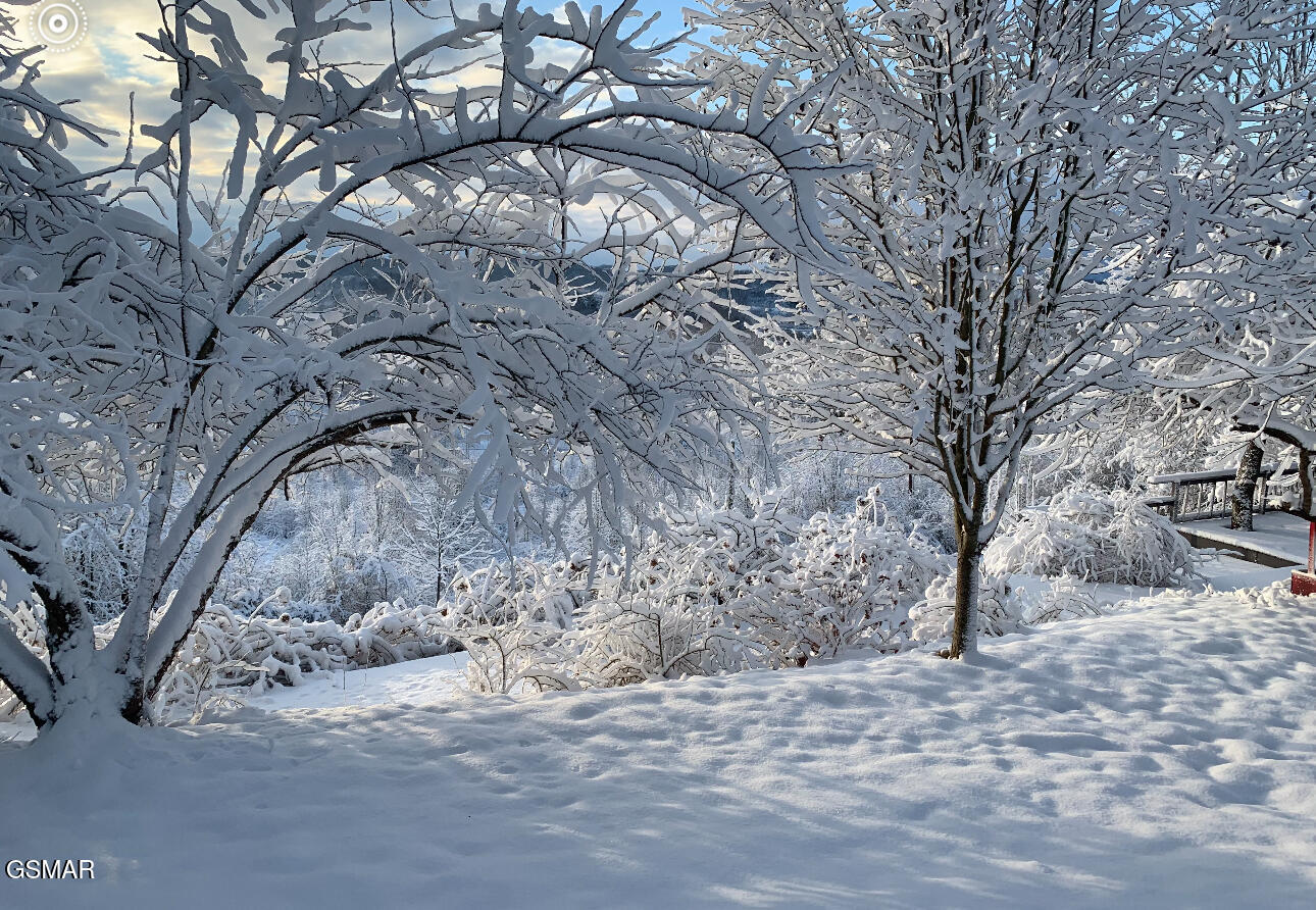 3855 Catewright Road Road