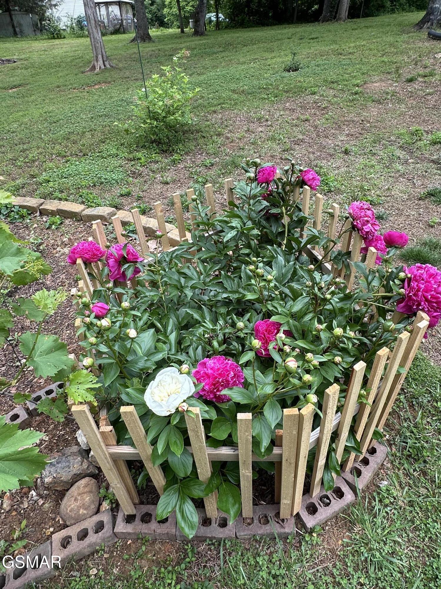 1923 Big Chiefs Skyview Drive Drive