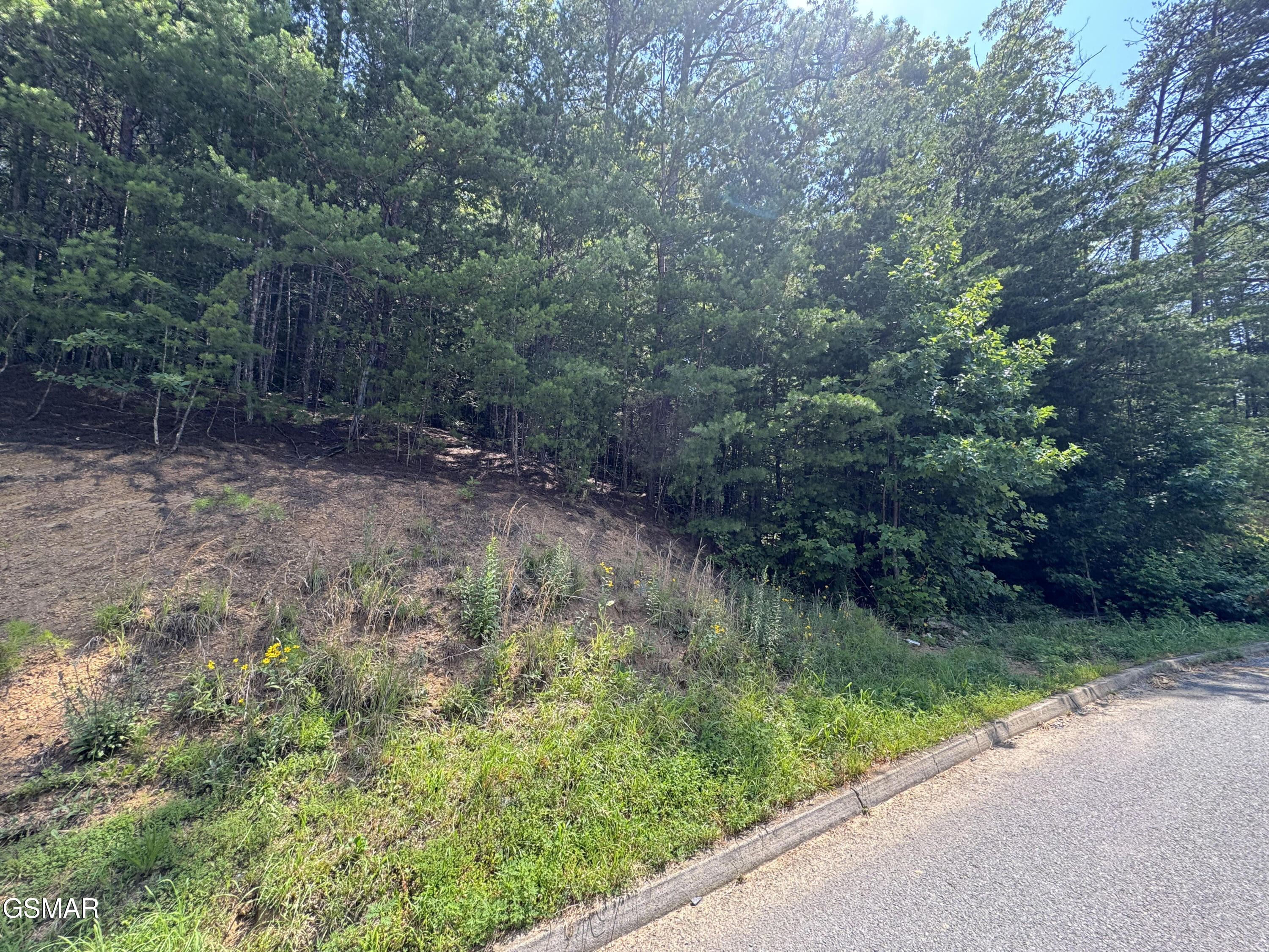 Lot 155 Bear Valley Road Road