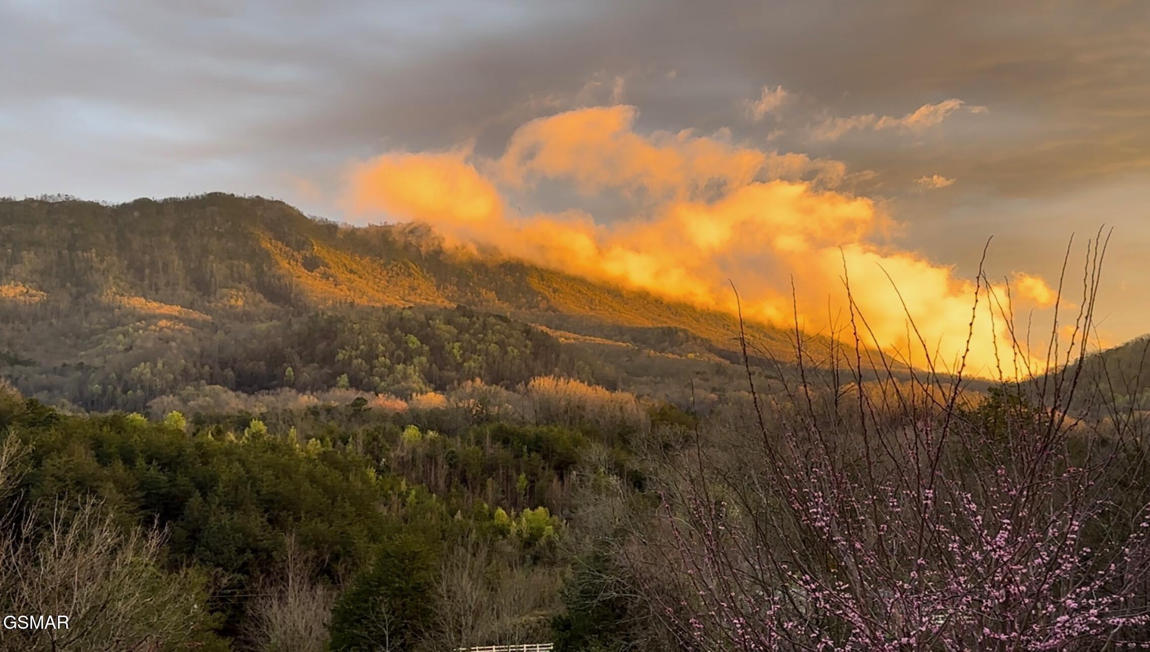 727 Autumns Peak Way Way