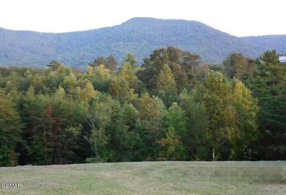 144 Burning Oaks Dr Drive Drive