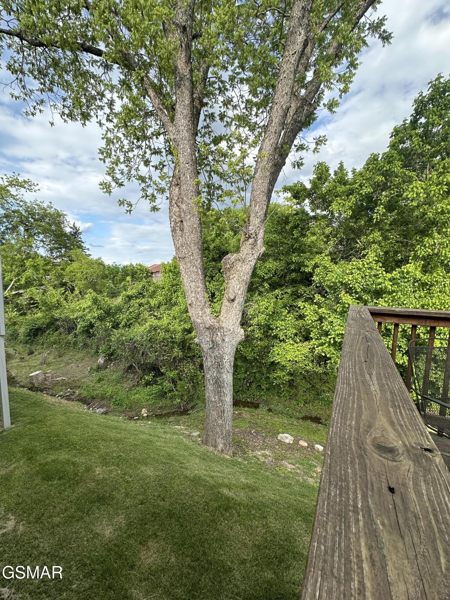 146 Mayapple Way