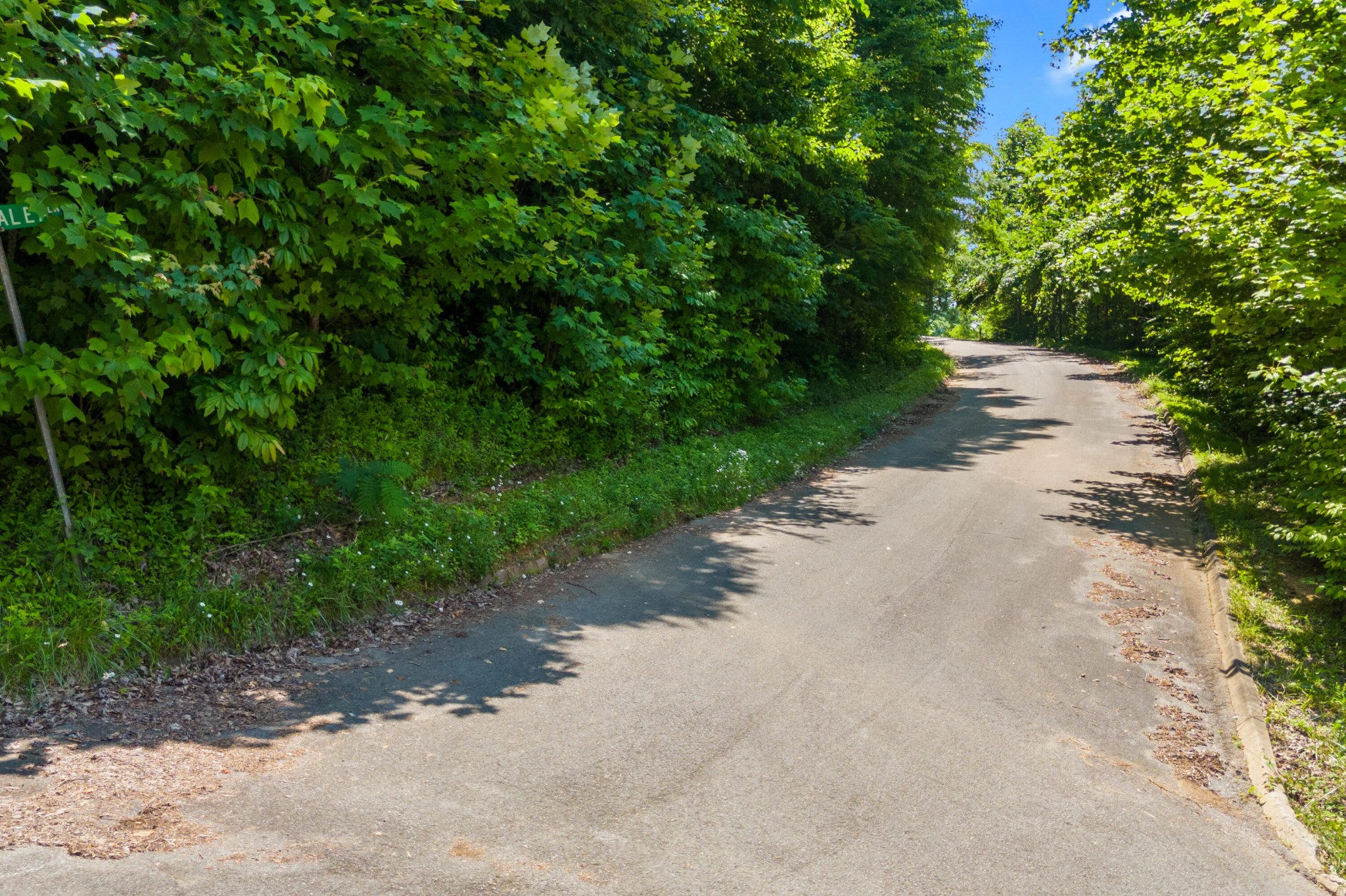 22 Wild Azalea Lane