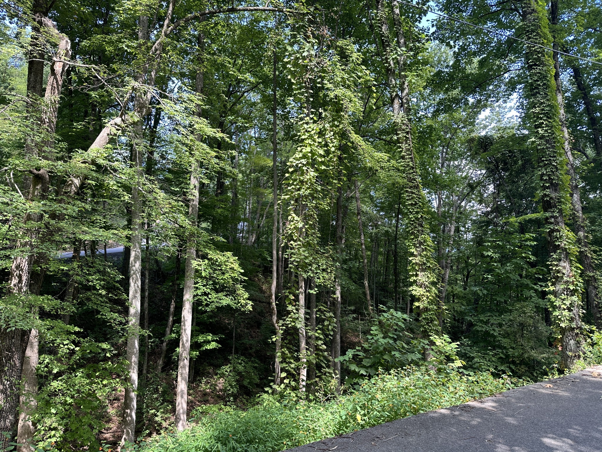 0 Upper Alpine Rd