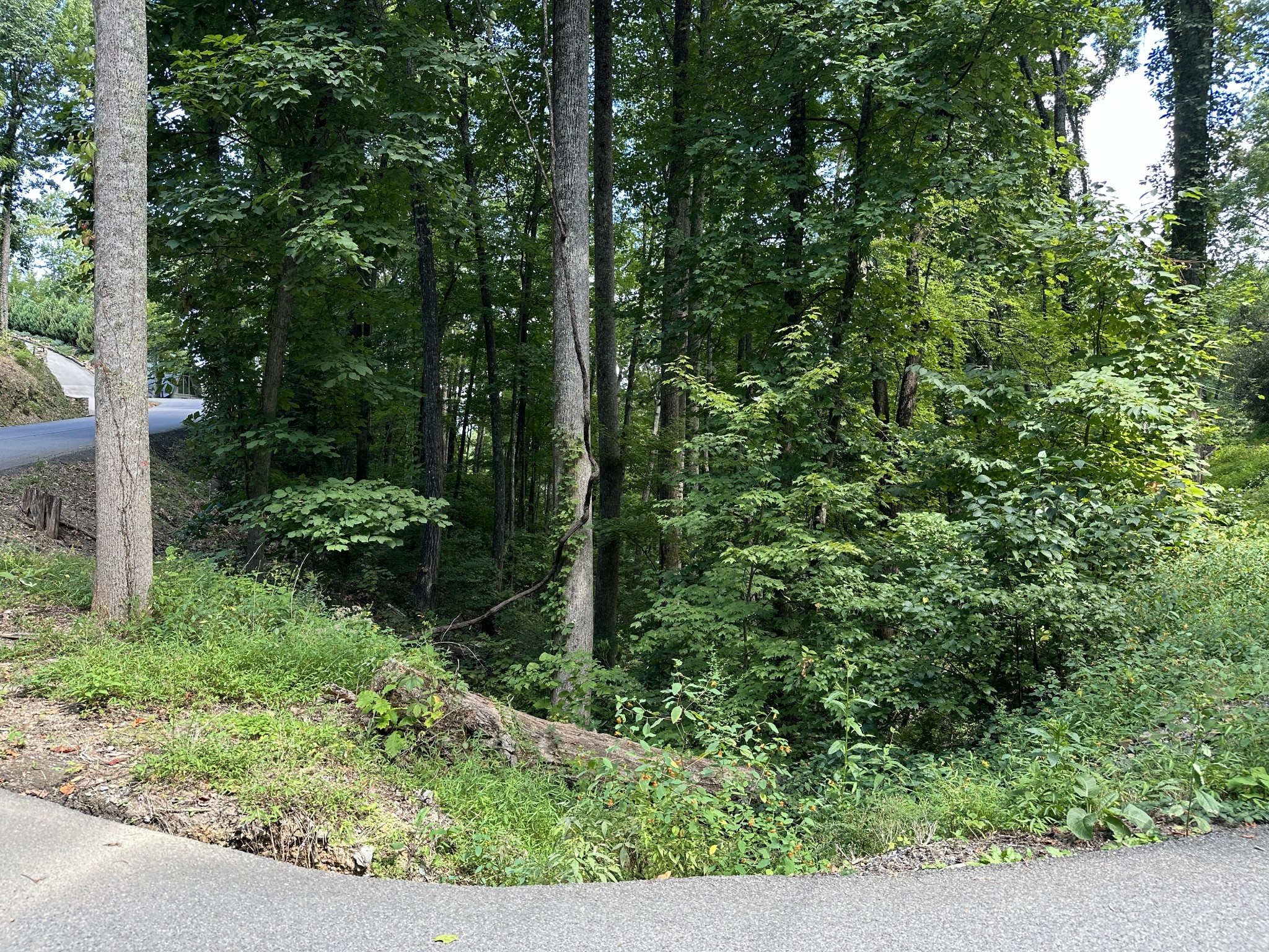 0 Upper Alpine Rd