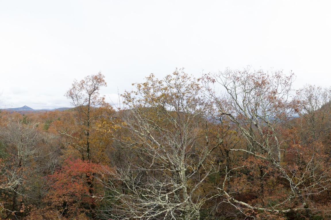 Lot 15 Little Creek Road