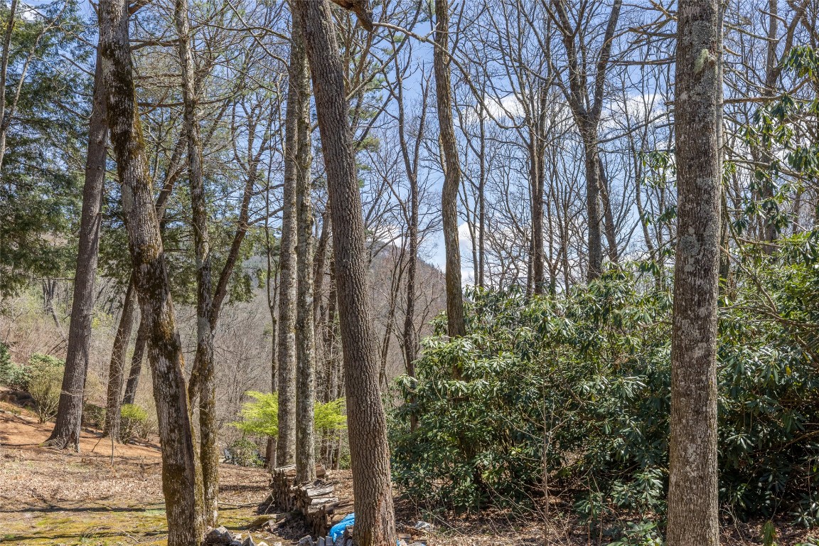 421 Moorewood Circle