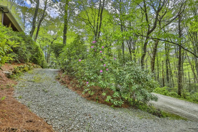230 Woodland Hill Drive