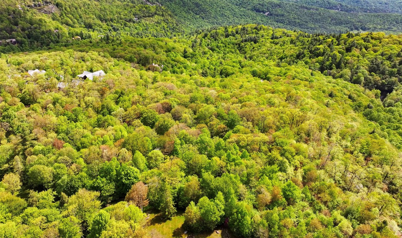 Lot 1C Sagee Woods Drive
