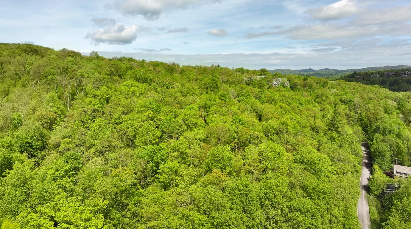Lot 1C Sagee Woods Drive
