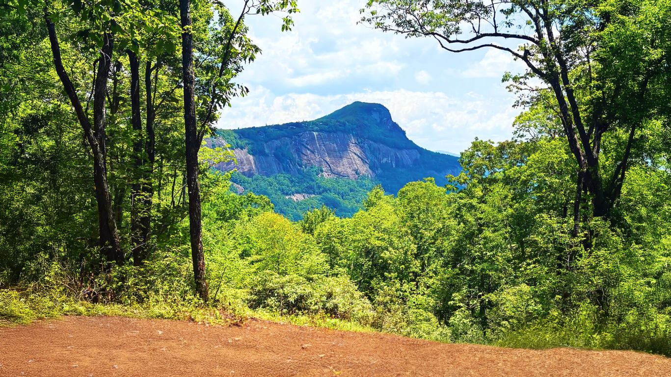 Lot 1C Sagee Woods Drive