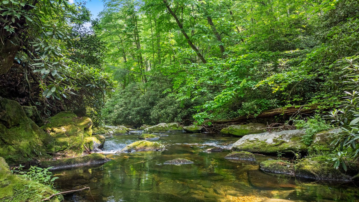 671 Walkingstick Road