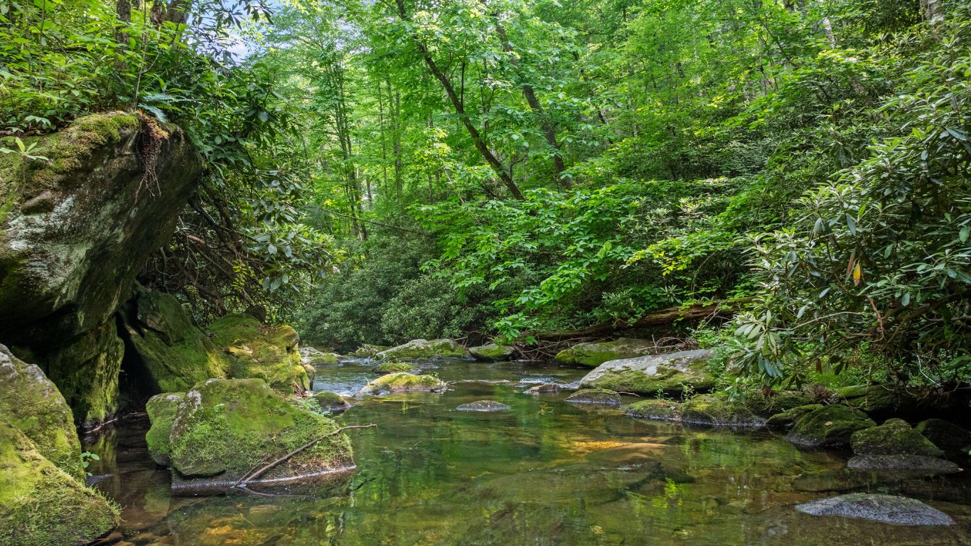 671 Walkingstick Road