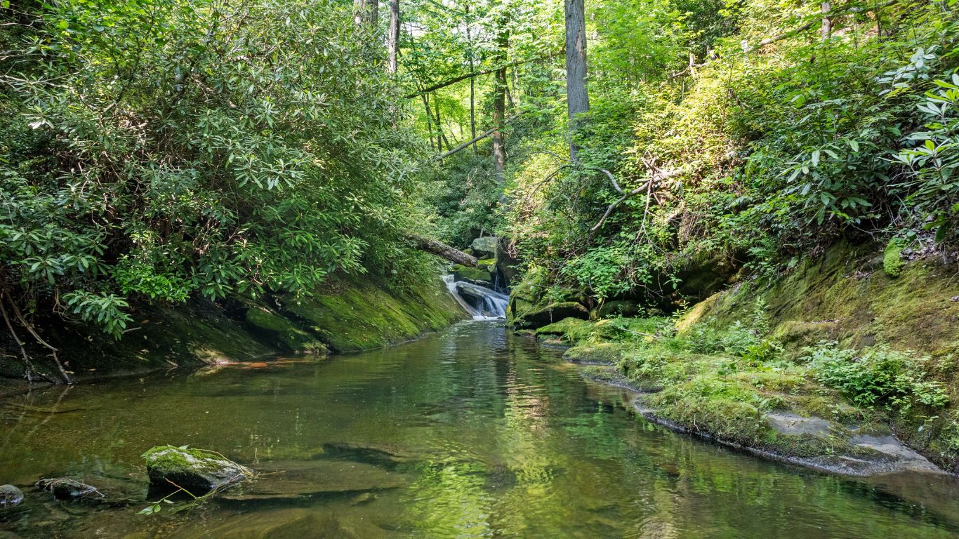 671 Walkingstick Road