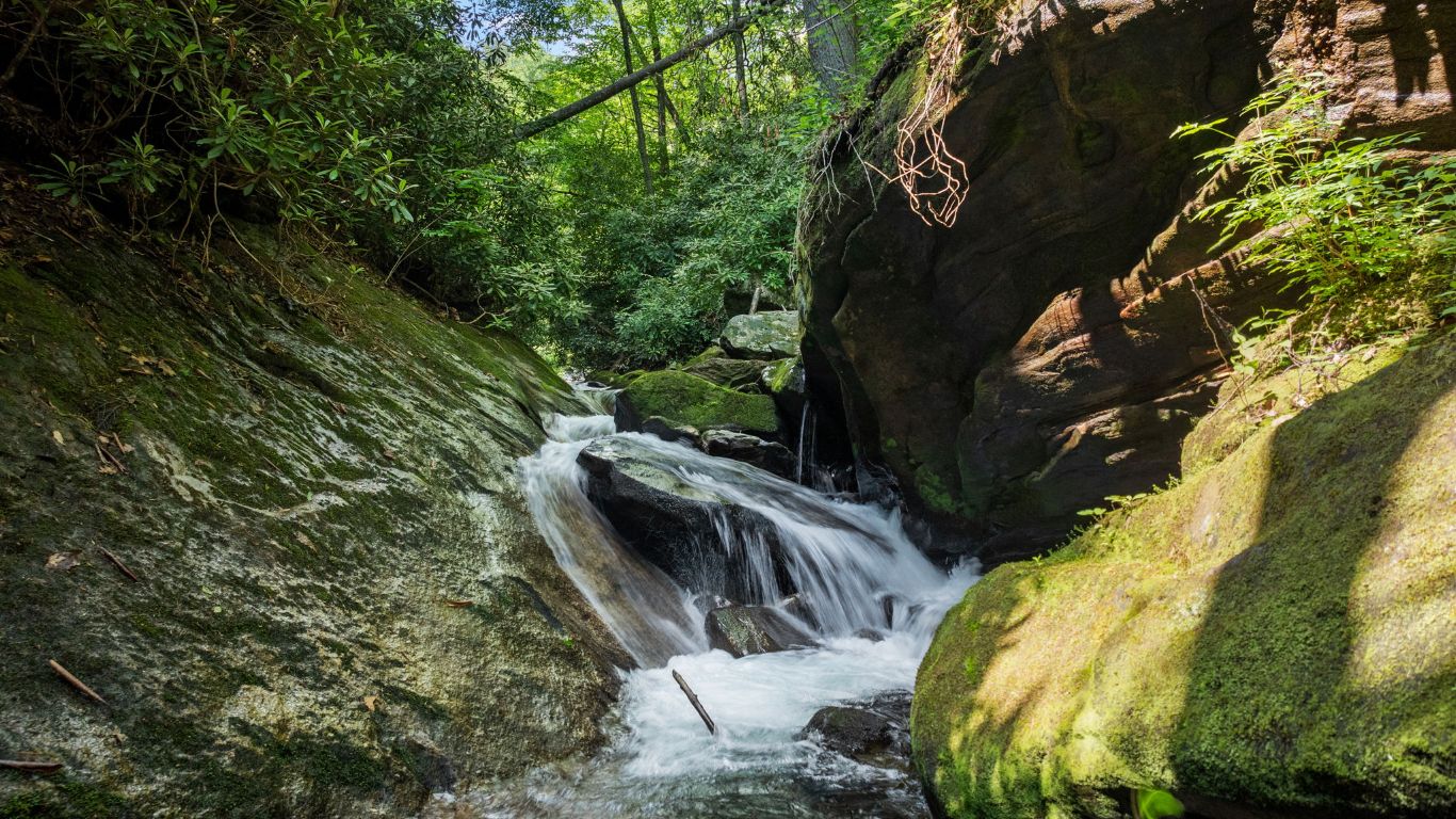 671 Walkingstick Road