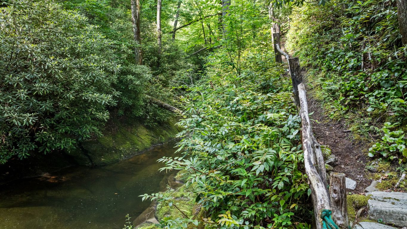 671 Walkingstick Road