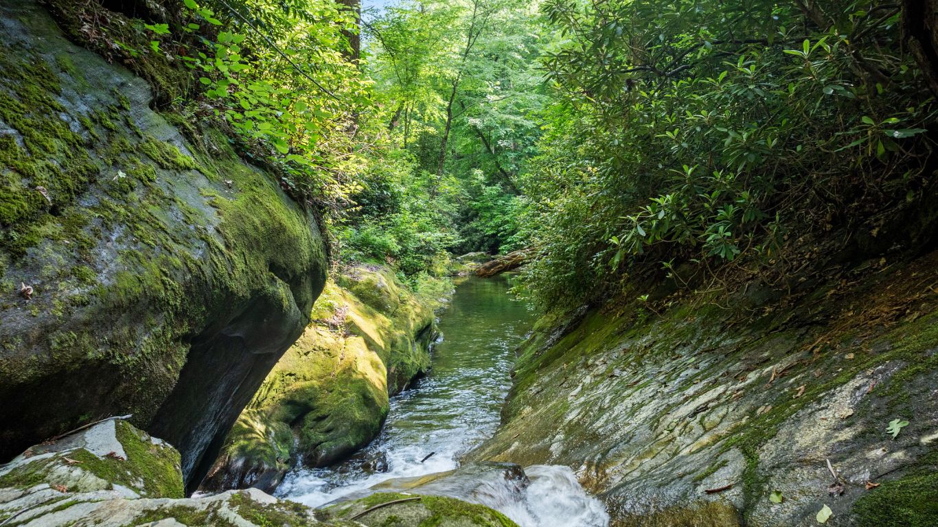 671 Walkingstick Road