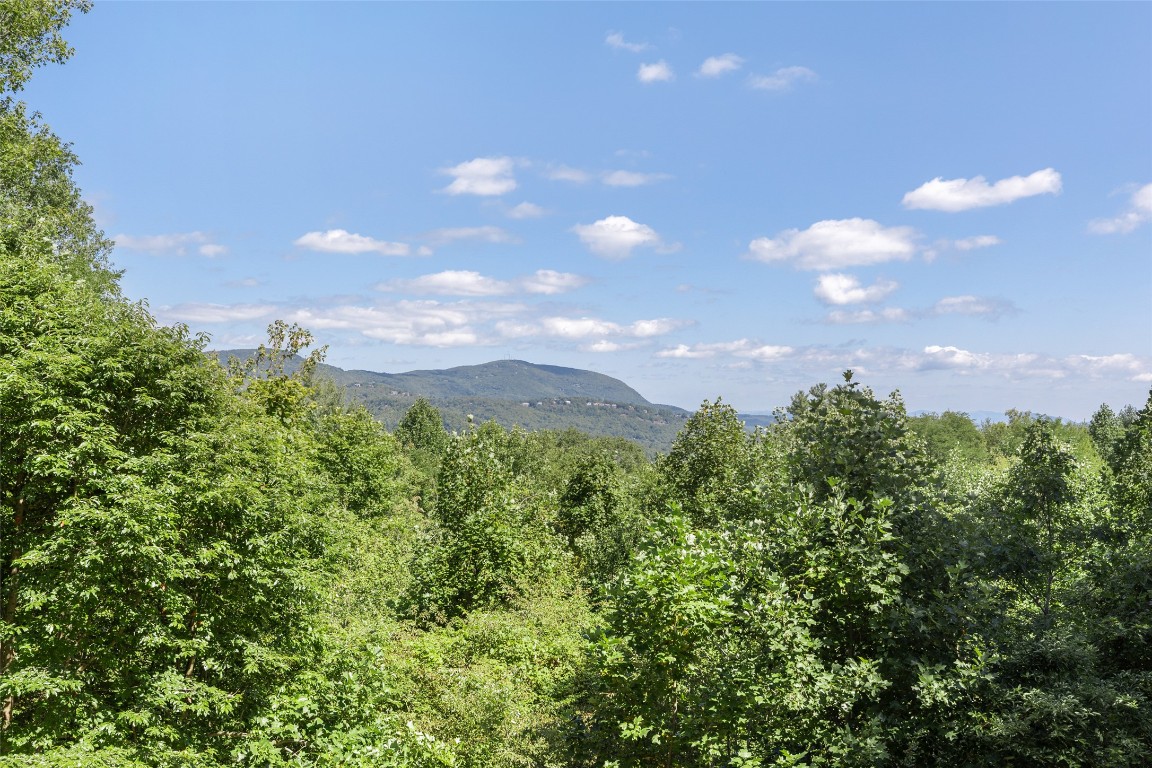 598 Parsons View