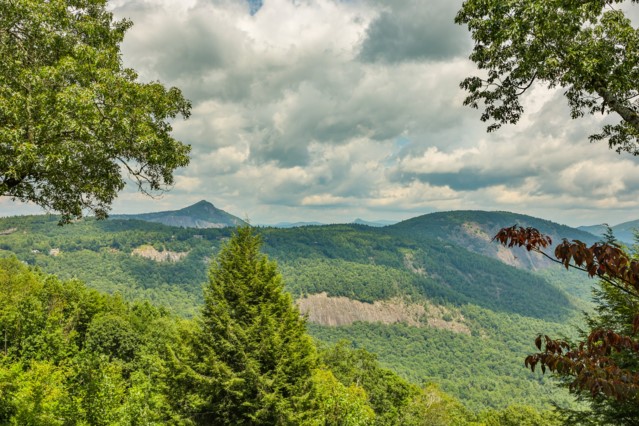 815 Ravenel Ridge Road