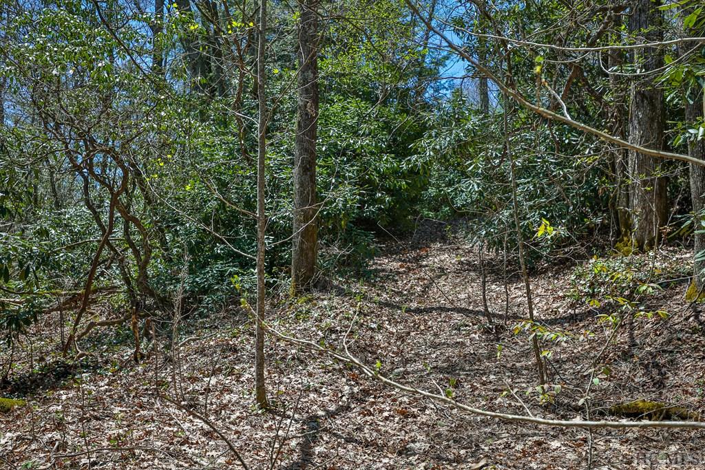 Lot 34 Streamside Lane