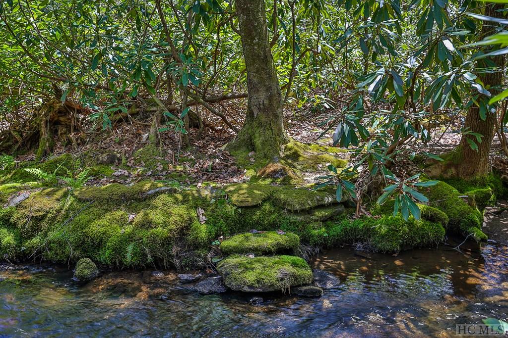 Lot 34 Streamside Lane