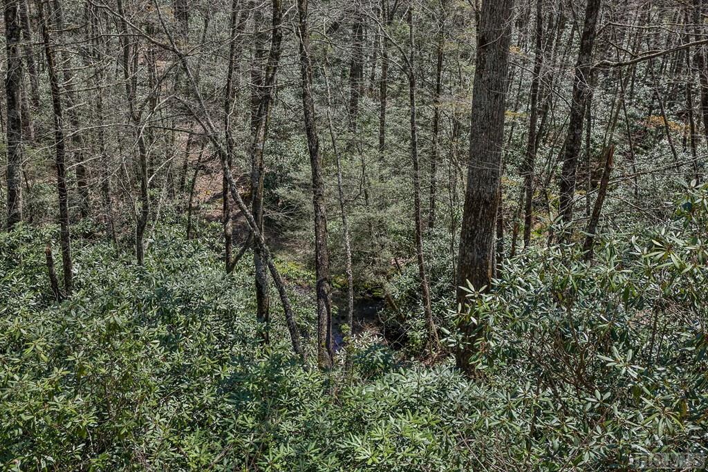 Lot 34 Streamside Lane