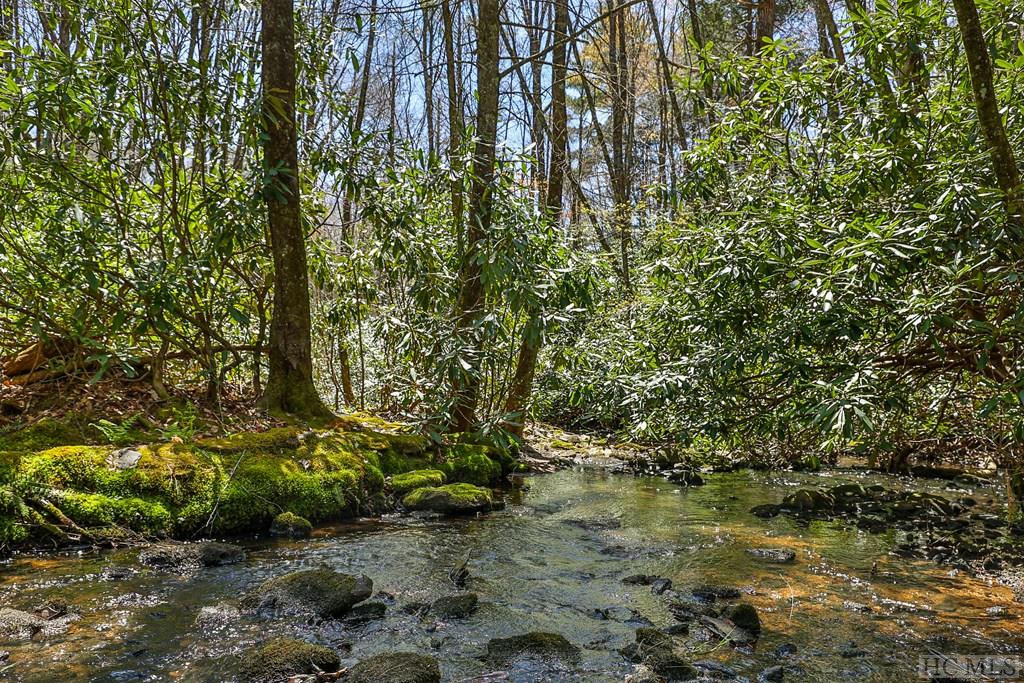 Lot 34 Streamside Lane