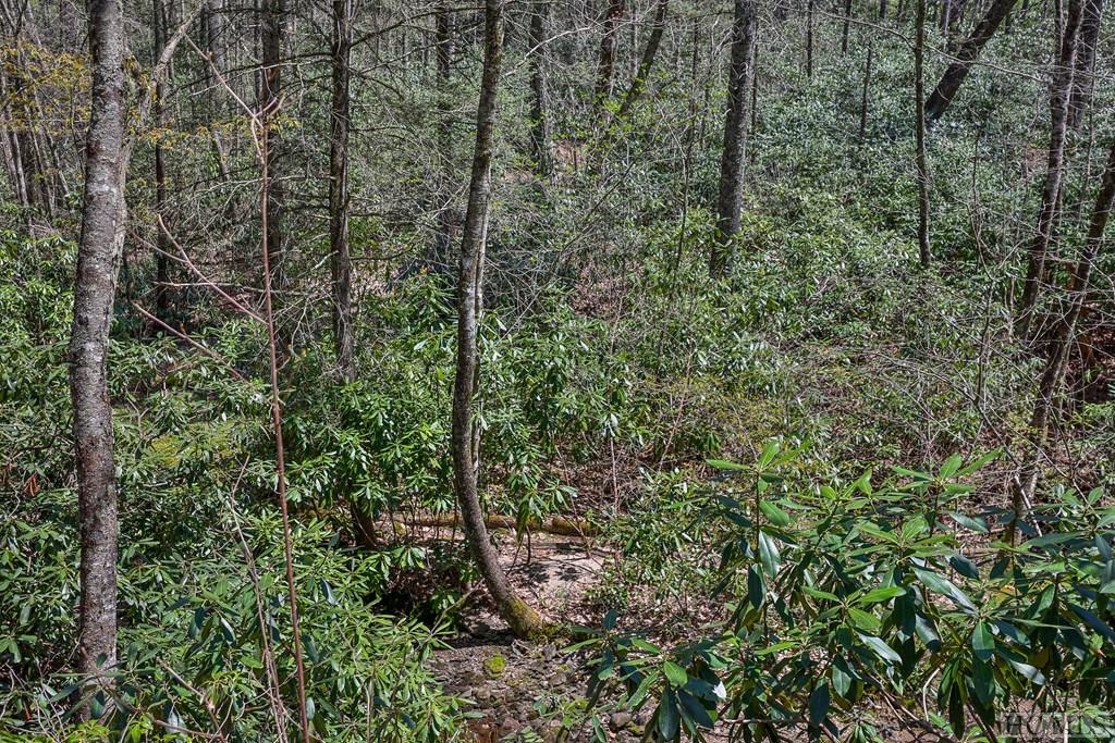 Lot 34 Streamside Lane