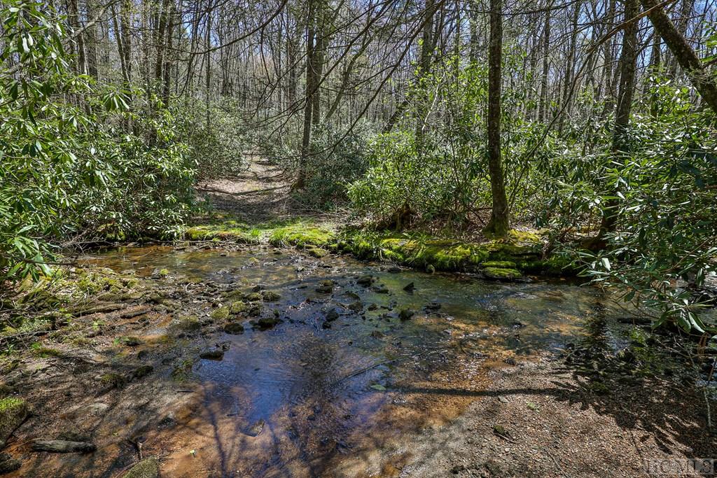 Lot 34 Streamside Lane