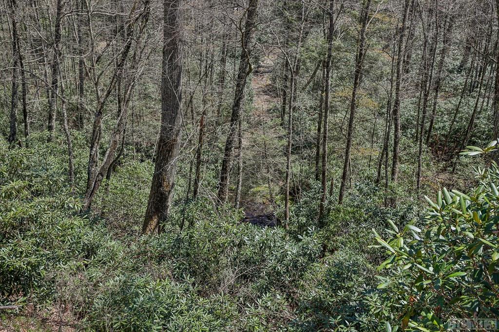 Lot 34 Streamside Lane