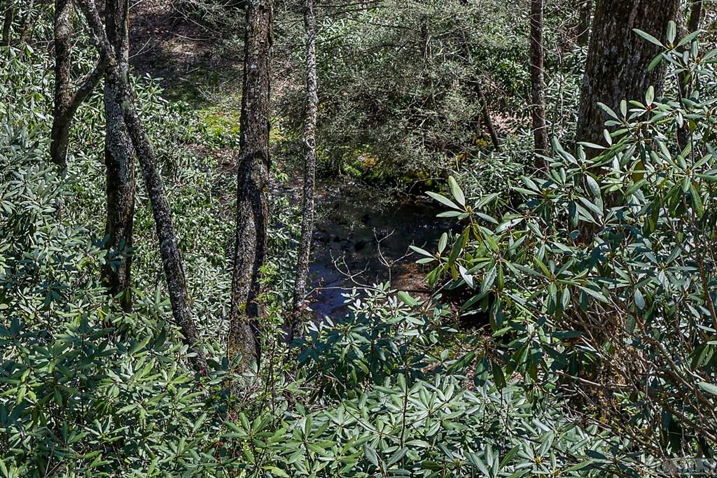 Lot 34 Streamside Lane