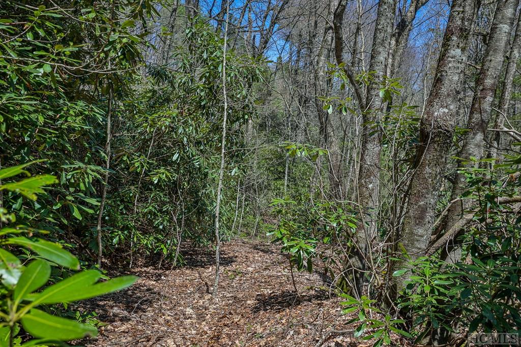 Lot 34 Streamside Lane