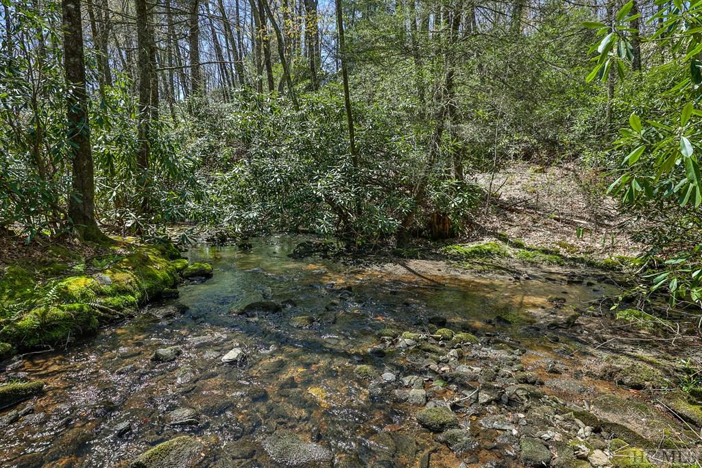 Lot 34 Streamside Lane