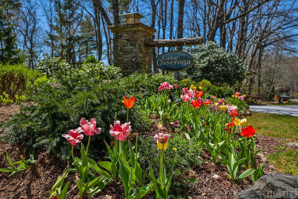 Lot 34 Streamside Lane