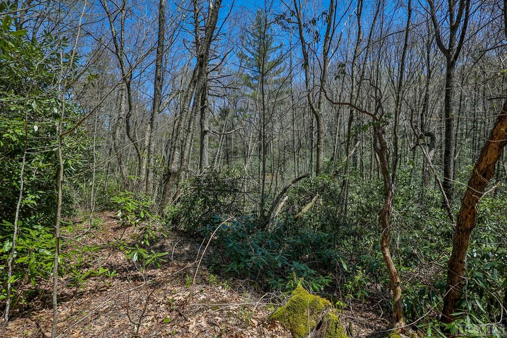 Lot 34 Streamside Lane