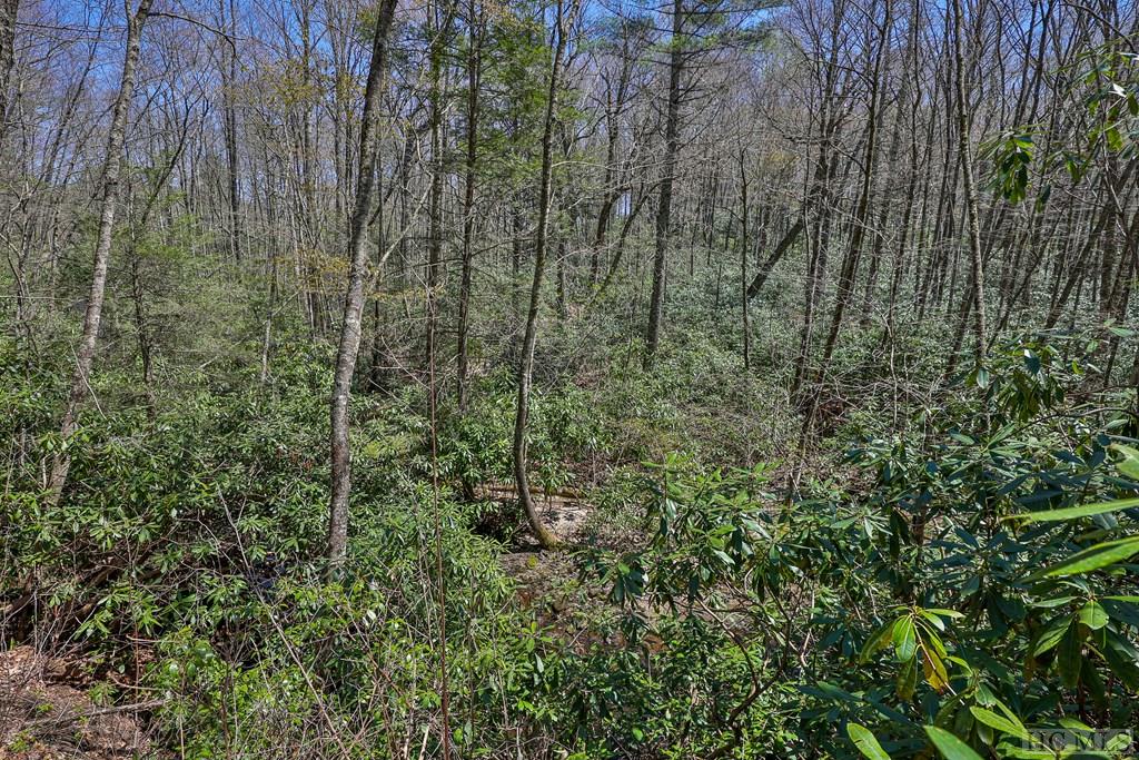 Lot 34 Streamside Lane