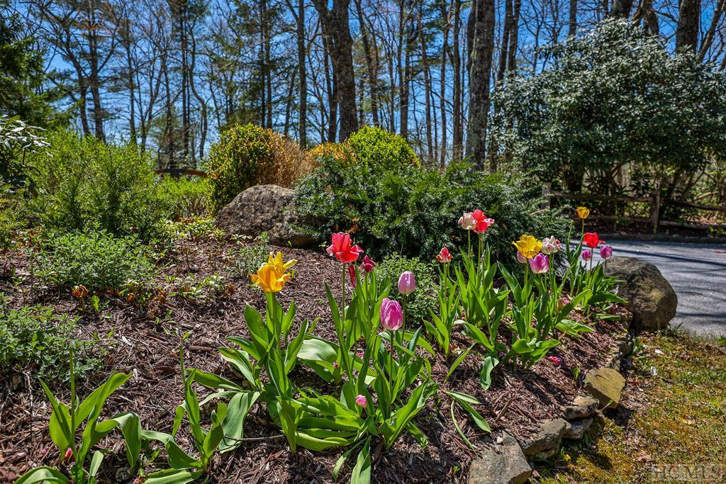 Lot 34 Streamside Lane