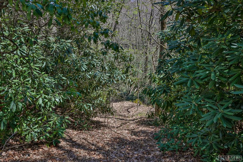 Lot 34 Streamside Lane