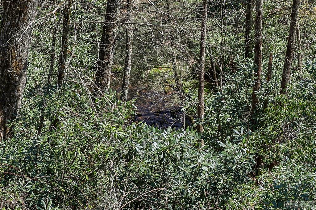 Lot 34 Streamside Lane