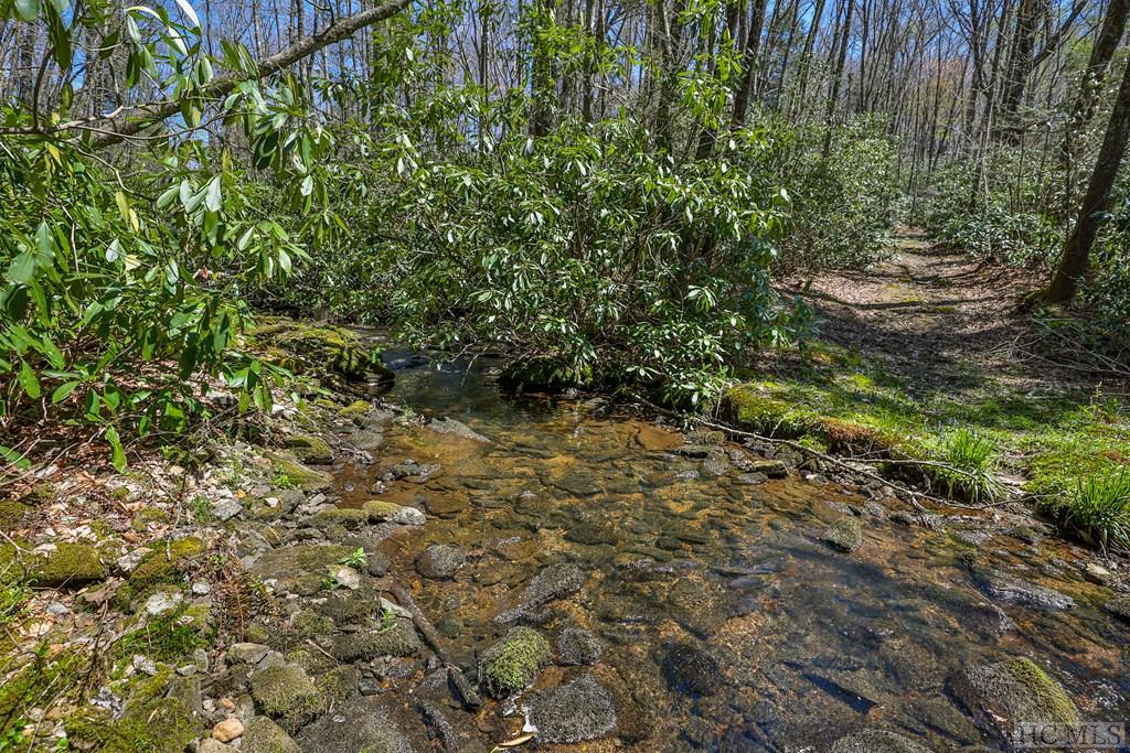 Lot 34 Streamside Lane