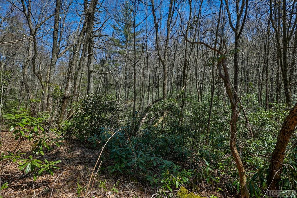 Lot 34 Streamside Lane