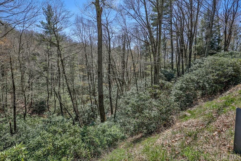 Lot 34 Streamside Lane